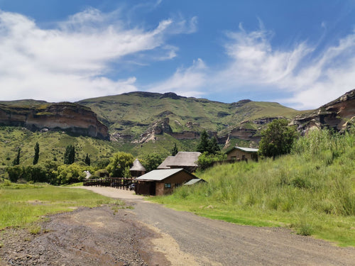 Land Restoration